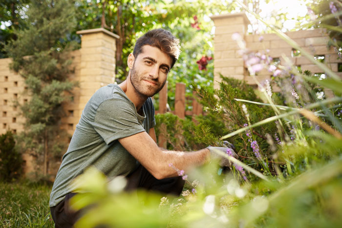 Man gardening outdoors near a stone fence enjoying yard maintenance Man gardening outdoors near a stone fence enjoying yard maintenance
