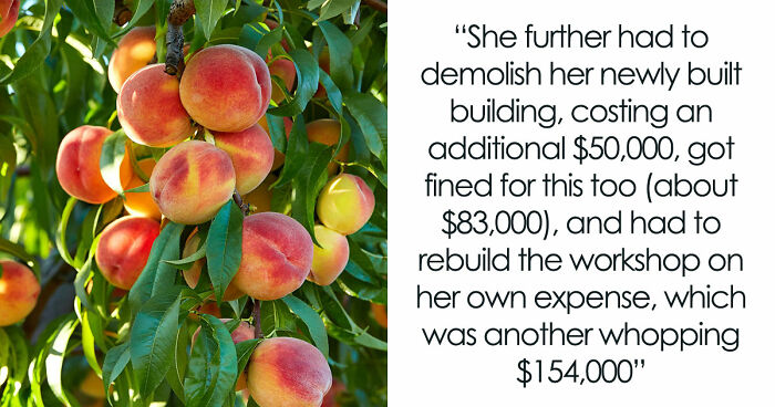 Entitled Woman Sneakily Destroys 120YO Orchard, Neighbor Takes Revenge Worth $437K On Her