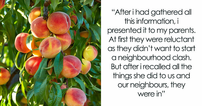 Entitled Woman Sneakily Destroys 120YO Orchard, Neighbor Takes Revenge Worth $437K On Her
