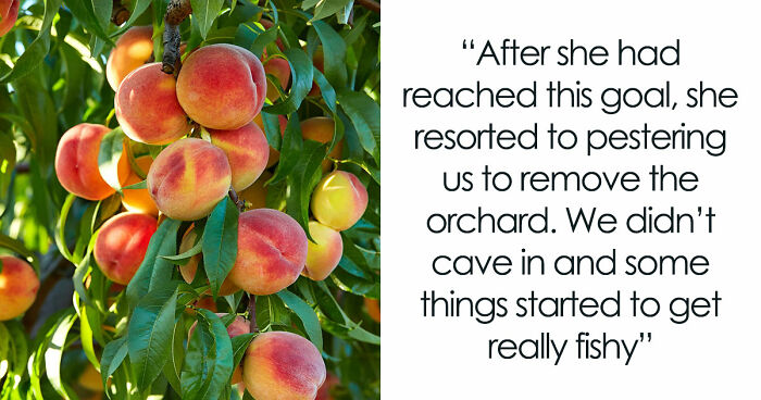 Entitled Woman Sneakily Destroys 120YO Orchard, Neighbor Takes Revenge Worth $437K On Her