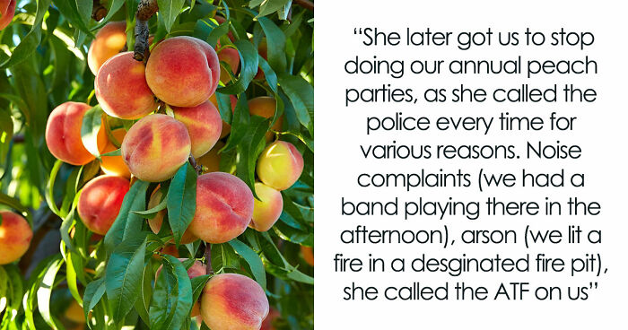 Entitled Woman Sneakily Destroys 120YO Orchard, Neighbor Takes Revenge Worth $437K On Her