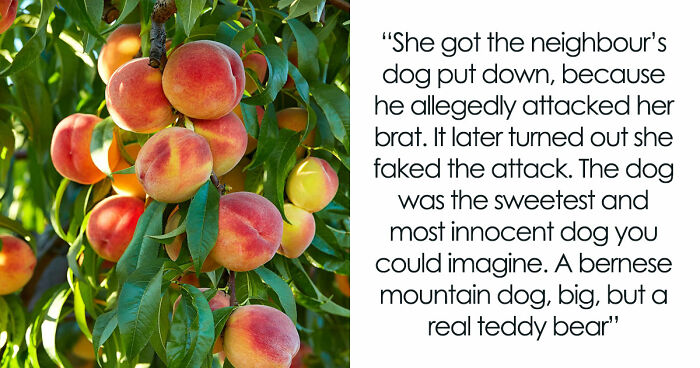 Entitled Woman Sneakily Destroys 120YO Orchard, Neighbor Takes Revenge Worth $437K On Her