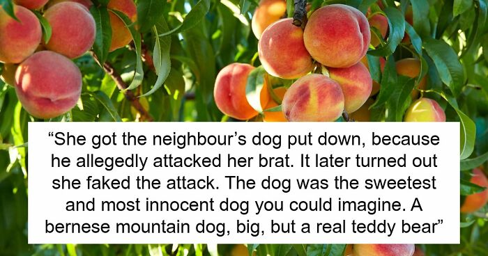 Entitled Woman Sneakily Destroys 120YO Orchard, Neighbor Takes Revenge Worth $437K On Her