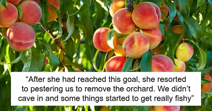 Entitled Woman Sneakily Destroys 120YO Orchard, Neighbor Takes Revenge Worth $437K On Her