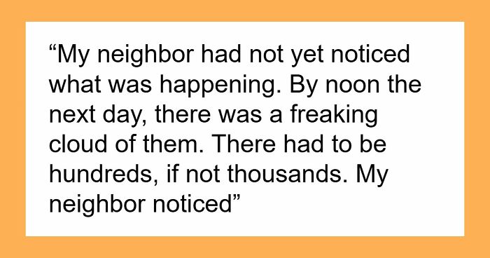 Guy Suffers Because Of Neighbor’s Petty Acts, Takes Revenge By Letting Beetles Ruin His Rose Garden