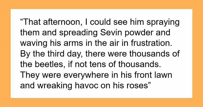 Guy Suffers Because Of Neighbor’s Petty Acts, Takes Revenge By Letting Beetles Ruin His Rose Garden