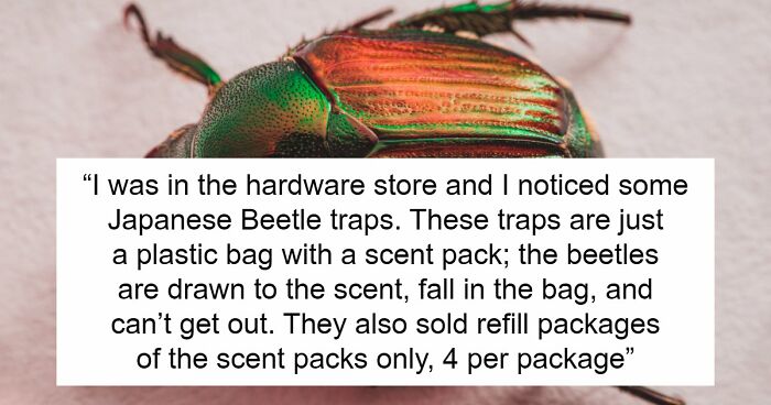 Guy Suffers Because Of Neighbor’s Petty Acts, Takes Revenge By Letting Beetles Ruin His Rose Garden