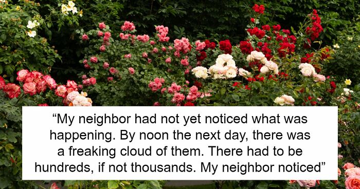 Guy Suffers Because Of Neighbor’s Petty Acts, Takes Revenge By Letting Beetles Ruin His Rose Garden
