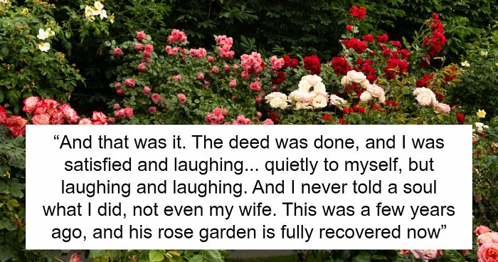 Guy Suffers Because Of Neighbor’s Petty Acts, Takes Revenge By Letting Beetles Ruin His Rose Garden