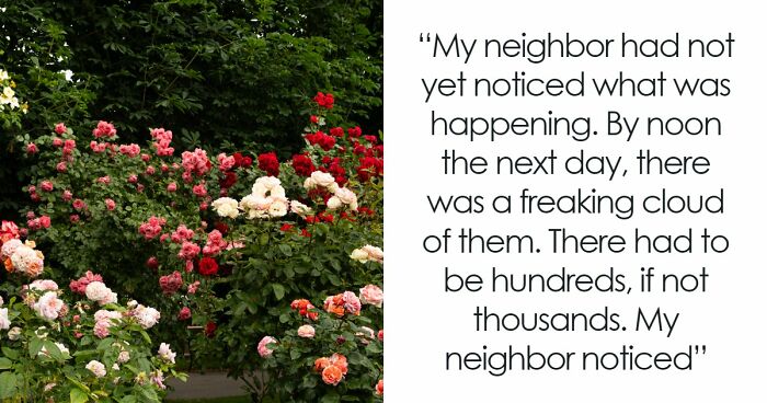 Guy Suffers Because Of Neighbor’s Petty Acts, Takes Revenge By Letting Beetles Ruin His Rose Garden