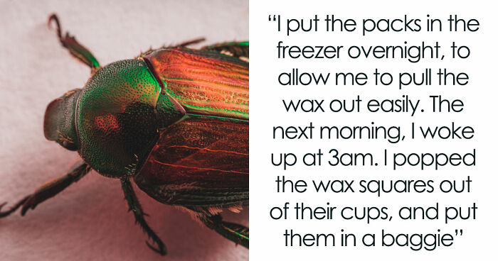 Guy Suffers Because Of Neighbor’s Petty Acts, Takes Revenge By Letting Beetles Ruin His Rose Garden