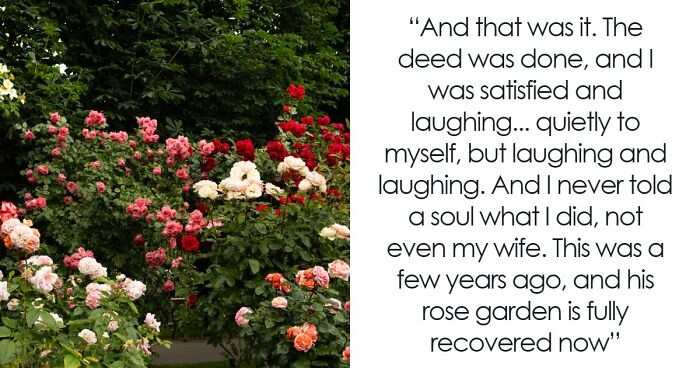 Guy Suffers Because Of Neighbor’s Petty Acts, Takes Revenge By Letting Beetles Ruin His Rose Garden