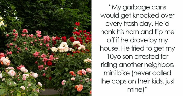 Guy Suffers Because Of Neighbor’s Petty Acts, Takes Revenge By Letting Beetles Ruin His Rose Garden