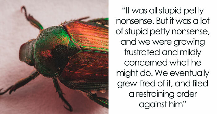 Guy Suffers Because Of Neighbor’s Petty Acts, Takes Revenge By Letting Beetles Ruin His Rose Garden