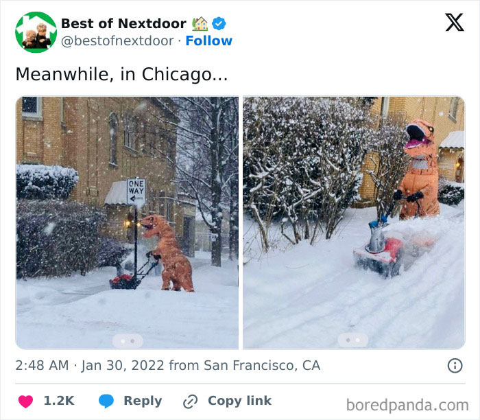 Person in dinosaur costume using snow blower in snowy Chicago neighborhood