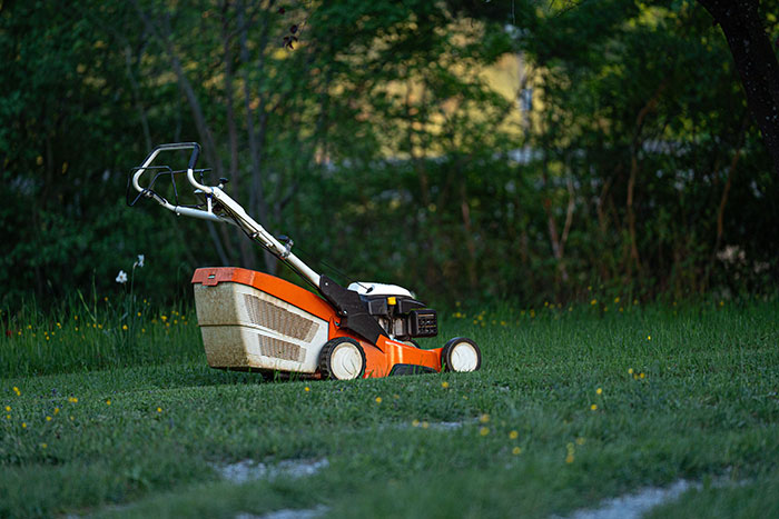 An orange and white lawnmower sits in a lush green yard, representing the yard work inciting neighbor conflict.