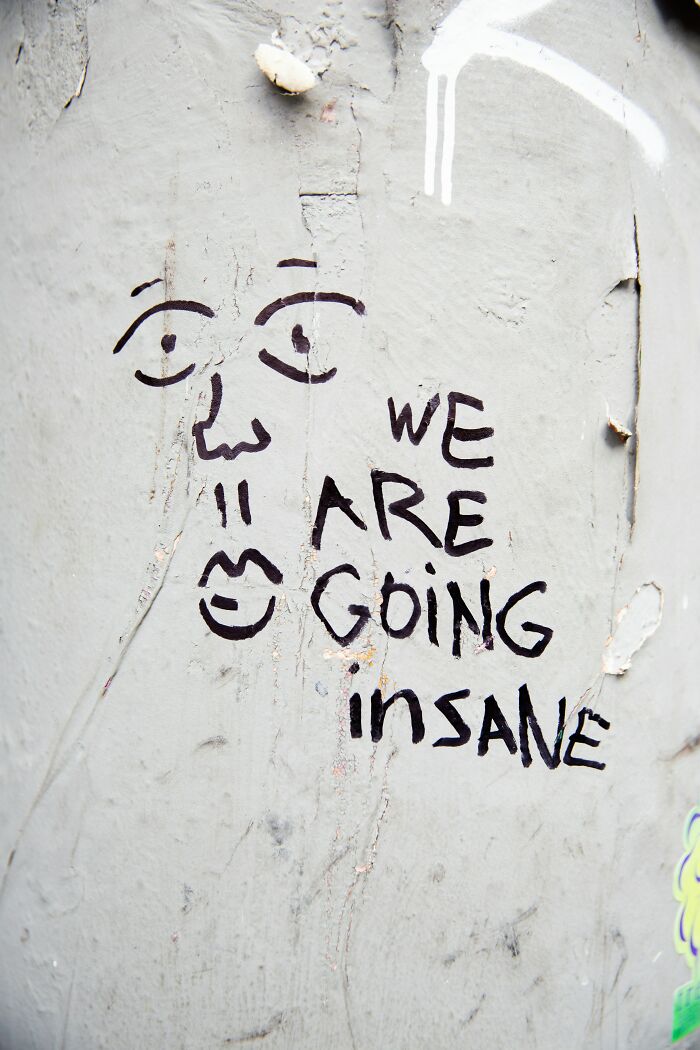 Graffiti saying we are going insane depicting anxiety thoughts