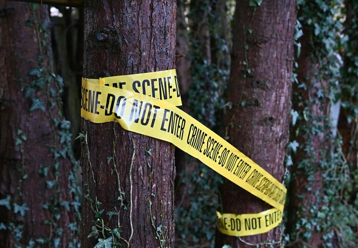 Crime scene tape around trees, symbolizing the intriguing nature of unsolved mysteries.