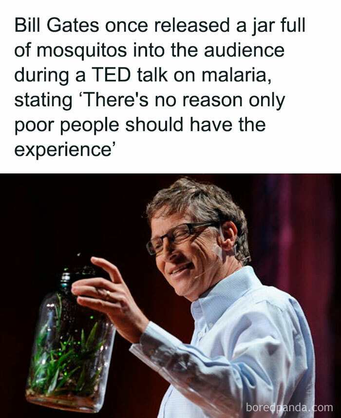 A blursed meme of Bill Gates smiling while holding a jar of mosquitoes during a TED talk.