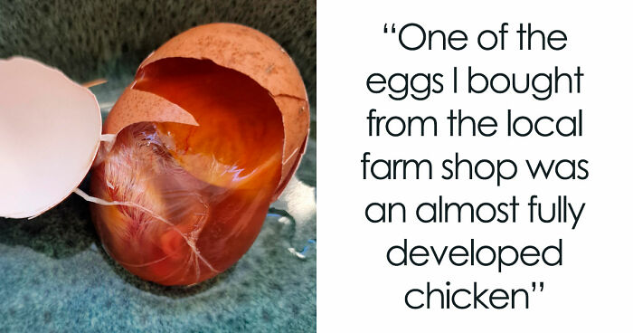 “Wife Hasn’t Eaten Eggs Since”: 83 Oddly Terrifying Images That Are Not For The Weak (New Pics)
