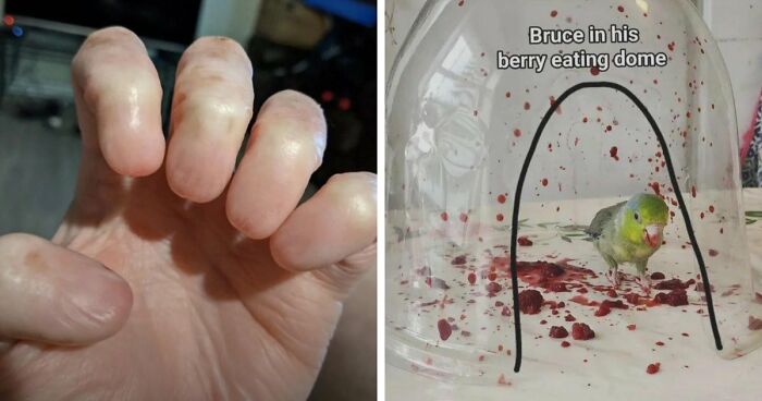 “Wife Hasn’t Eaten Eggs Since”: 83 Oddly Terrifying Images That Are Not For The Weak (New Pics)