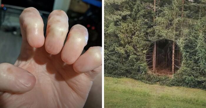 “Wife Hasn’t Eaten Eggs Since”: 83 Oddly Terrifying Images That Are Not For The Weak (New Pics)