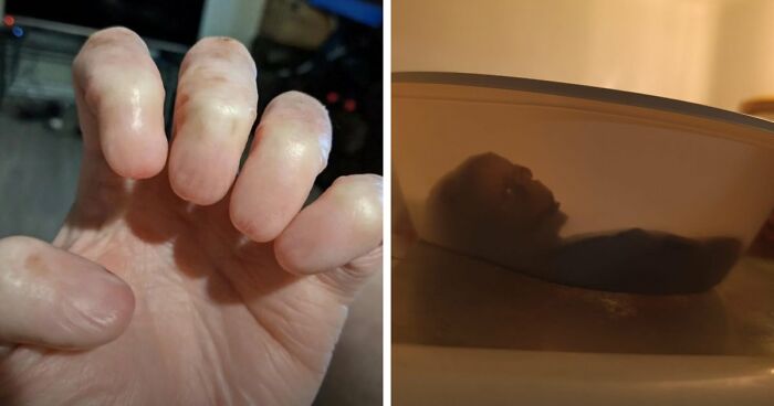 “Wife Hasn’t Eaten Eggs Since”: 83 Oddly Terrifying Images That Are Not For The Weak (New Pics)