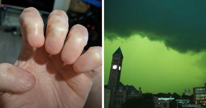 “Wife Hasn’t Eaten Eggs Since”: 83 Oddly Terrifying Images That Are Not For The Weak (New Pics)