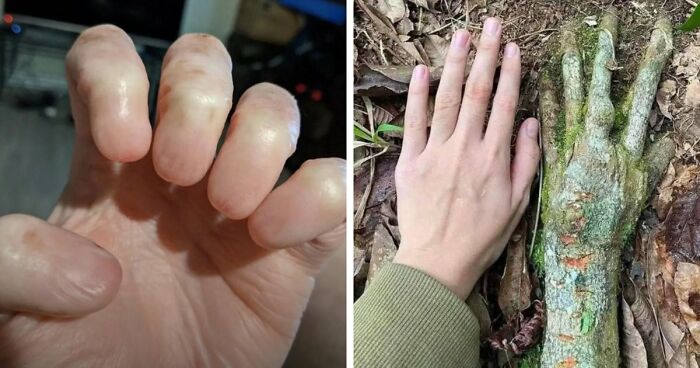 “Wife Hasn’t Eaten Eggs Since”: 83 Oddly Terrifying Images That Are Not For The Weak (New Pics)