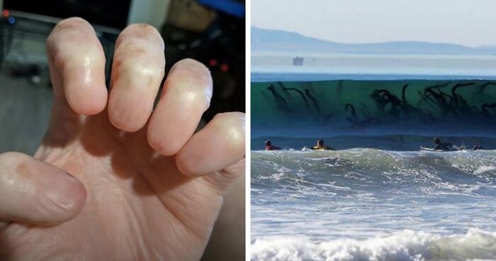 “Wife Hasn’t Eaten Eggs Since”: 83 Oddly Terrifying Images That Are Not For The Weak (New Pics)
