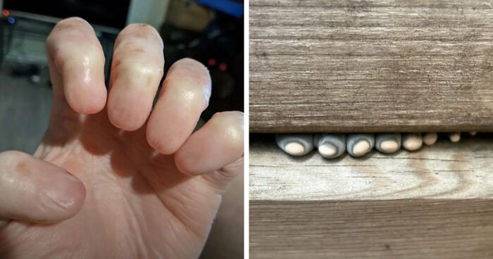 “Wife Hasn’t Eaten Eggs Since”: 83 Oddly Terrifying Images That Are Not For The Weak (New Pics)