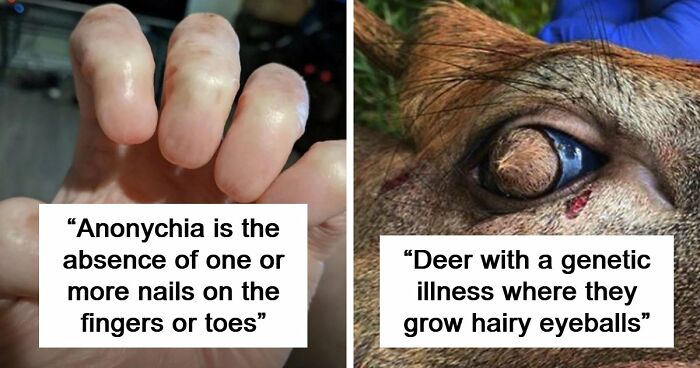 “Wife Hasn’t Eaten Eggs Since”: 83 Oddly Terrifying Images That Are Not For The Weak (New Pics)
