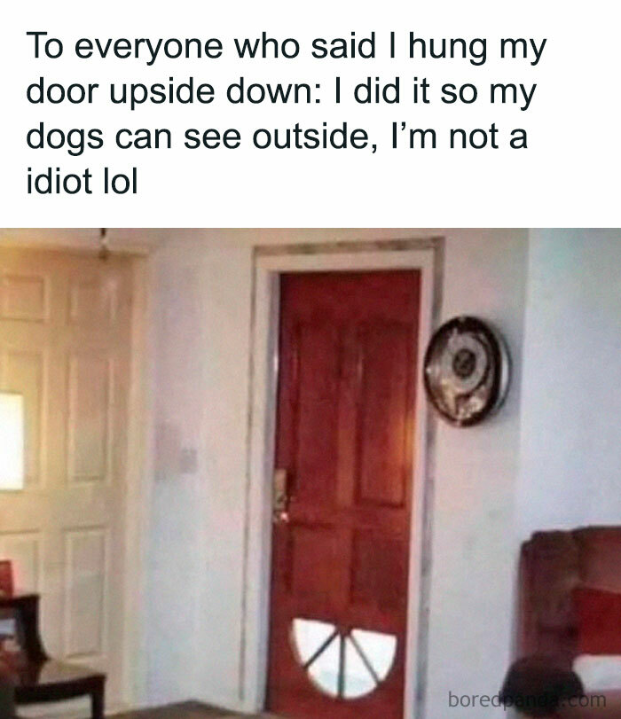 A weird and unusual red door hung upside down, a wholesome way for dogs to see outside.