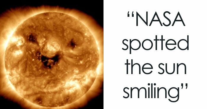 42 Weird And Unusual Things That Are Wholesome In Their Own Way