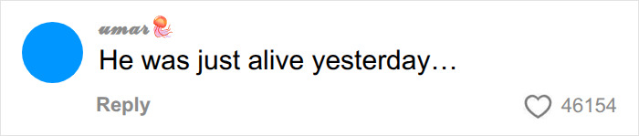 Comment reflecting on Oliver Tree's life ending suddenly Comment reflecting on Oliver Tree's life ending suddenly