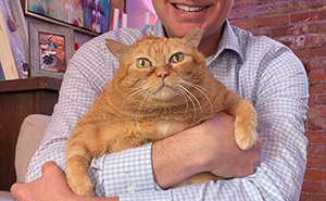 This Viral Overweight Rescue Cat Finally Found A Forever Home After Winning Hearts Around The World