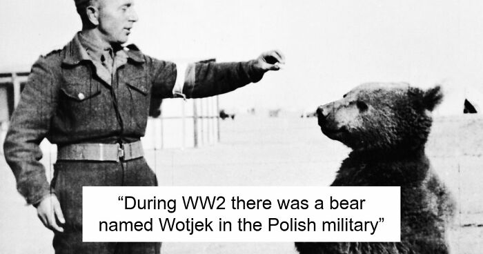 74 Interesting, Fascinating, And Funny Moments From History You Won’t Find In Textbooks