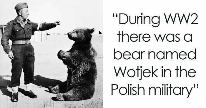 74 Interesting, Fascinating, And Funny Moments From History You Won’t Find In Textbooks