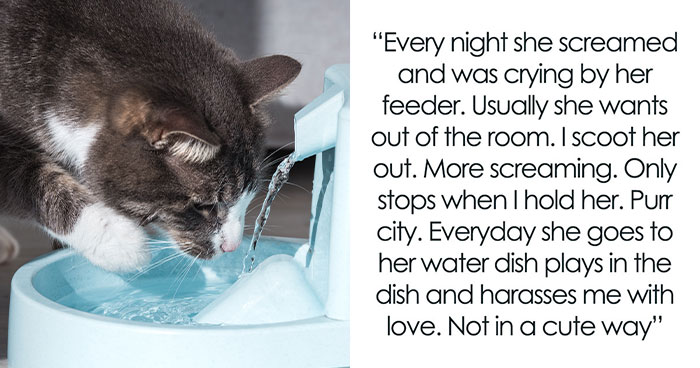 Woman Thinks Her Blind Cat Is Being Annoying, Realizes She Was Trying To Signal A Serious Problem