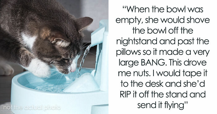 Blind Kitten Keeps Splashing The Water Bowl, Owner Finally Understands The Scary Reason Behind It