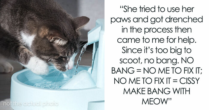 Blind Kitten Keeps Splashing The Water Bowl, Owner Finally Understands The Scary Reason Behind It