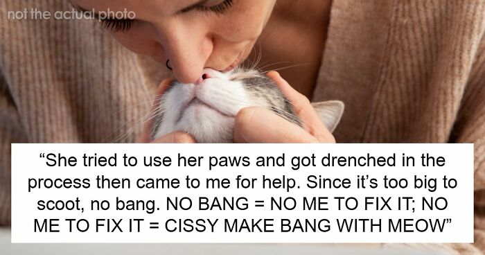 Blind Kitten Keeps Splashing The Water Bowl, Owner Finally Understands The Scary Reason Behind It