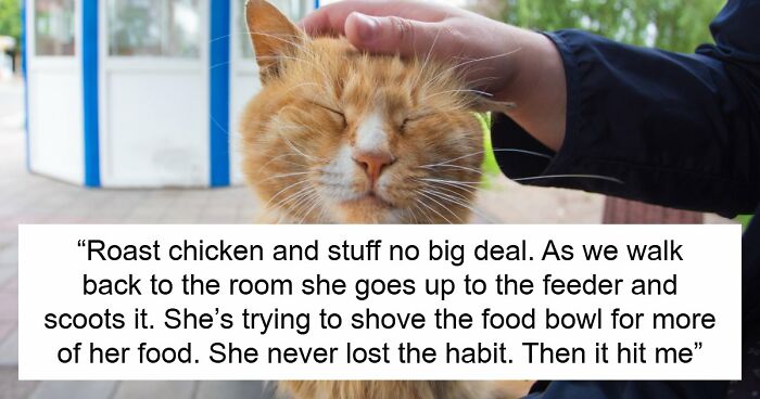 Blind Kitten Keeps Splashing The Water Bowl, Owner Finally Understands The Scary Reason Behind It