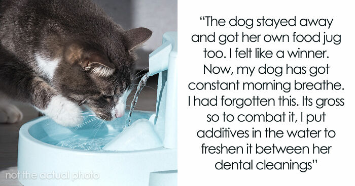Woman Thinks Her Blind Cat Is Being Annoying, Realizes She Was Trying To Signal A Serious Problem