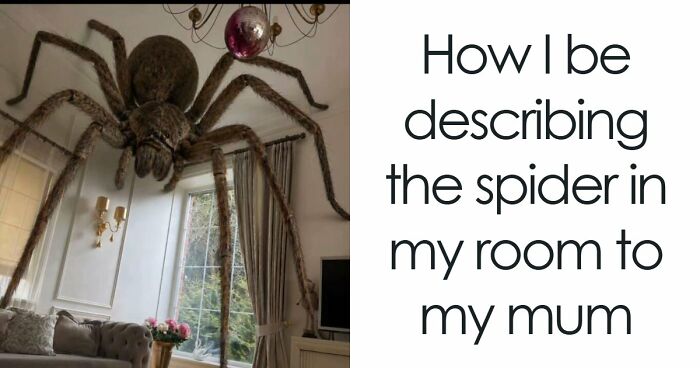 75 Images So Cringe They Physically Might Cause You Pain