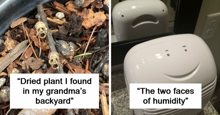 56 Mind-Bending Cases Of Pareidolia That Are Equal Parts Creepy And Hilarious (New Pics)