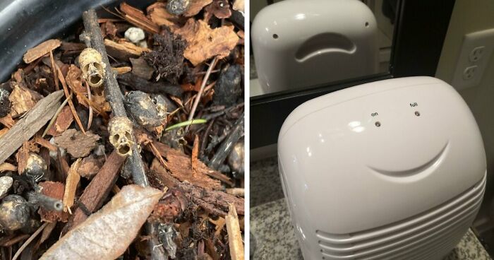 56 Mind-Bending Cases Of Pareidolia That Are Equal Parts Creepy And Hilarious (New Pics)