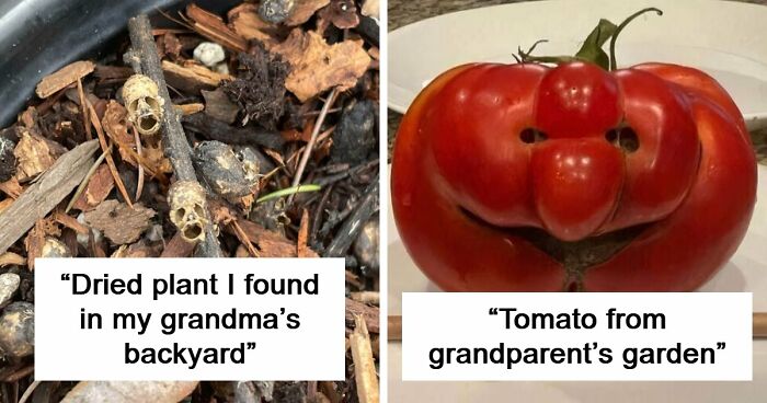 56 Mind-Bending Cases Of Pareidolia That Are Equal Parts Creepy And Hilarious (New Pics)