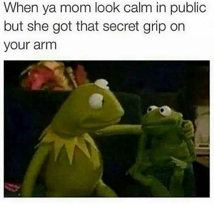 Parenting meme with Kermit illustrating a mom's secret grip in public