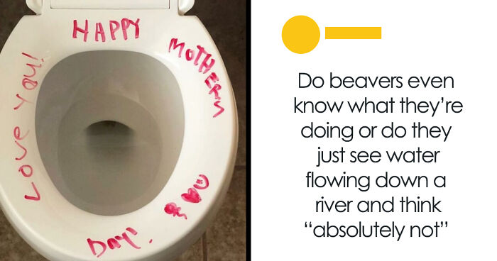 119 Parenting Memes That Capture The Wild And Ridiculous Nature Of Being A Parent